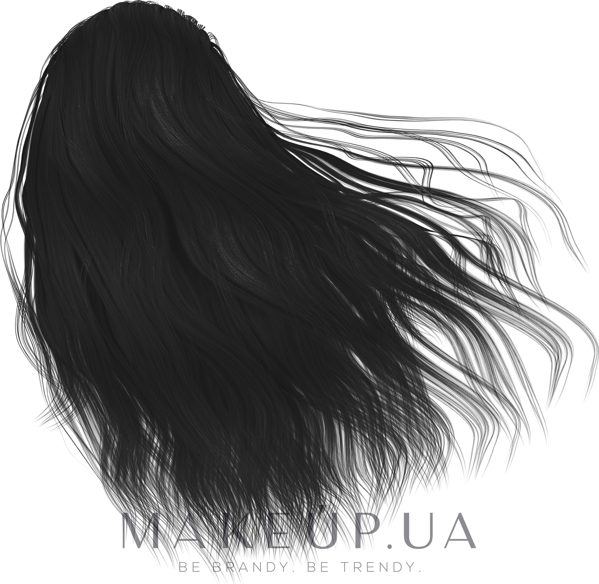 Красящий мусс для волос - Black Professional Line Protective Colouring Mousse — фото Black