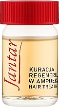 Янтарное средство в ампулах для очень поврежденных и ослабленных волос - Farmona Jantar Restore — фото N2