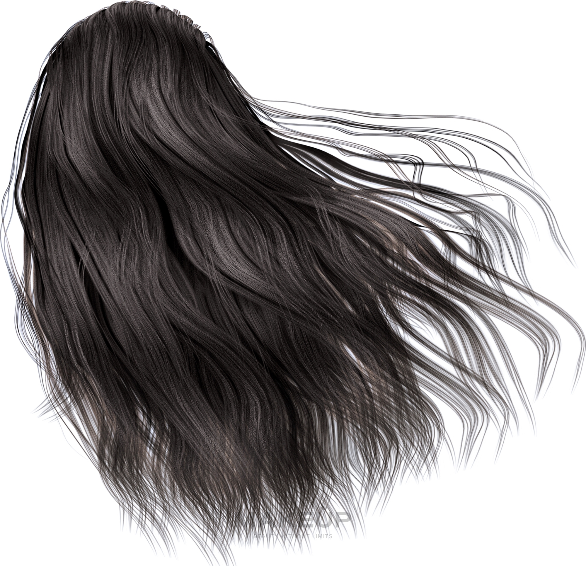 Краска для волос - Lazartigue La Couleur Absolue Permanent Haircolor — фото 1.00 - Intense Black
