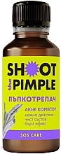 Парфумерія, косметика Засіб проти висипань - Shimani Smart Skincare Shoot The Pimple Anti-Blemish Corrector