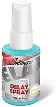 Спрей для продовження задоволення - Intimeco Delay Spray — фото N1