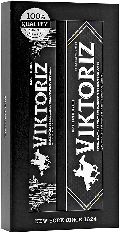 Набір "Бамбукове вугілля" - Viktoriz New York Gift Set (toothpaste/75ml + toothbrush/1pcs) — фото N2