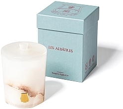 Парфумерія, косметика Ароматична свічка "Abd El Kader" - Cire Trudon Albatres Collection Scented Candle