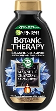Парфумерія, косметика Балансуючий шампунь "Магнетичне вугілля" - Garnier Botanic Therapy Balancing Shampoo
