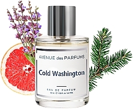 Avenue Des Parfums Cold Washington - Парфюмированная вода — фото N2