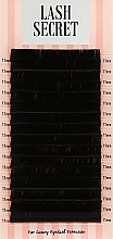 Духи, Парфюмерия, косметика Накладные ресницы, черные, 16 линий (один размер, 0,07, D, 11) - Lash Secret
