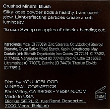 Розсипчасті мінеральні рум'яна - Youngblood Crushed Mineral Blush — фото N6