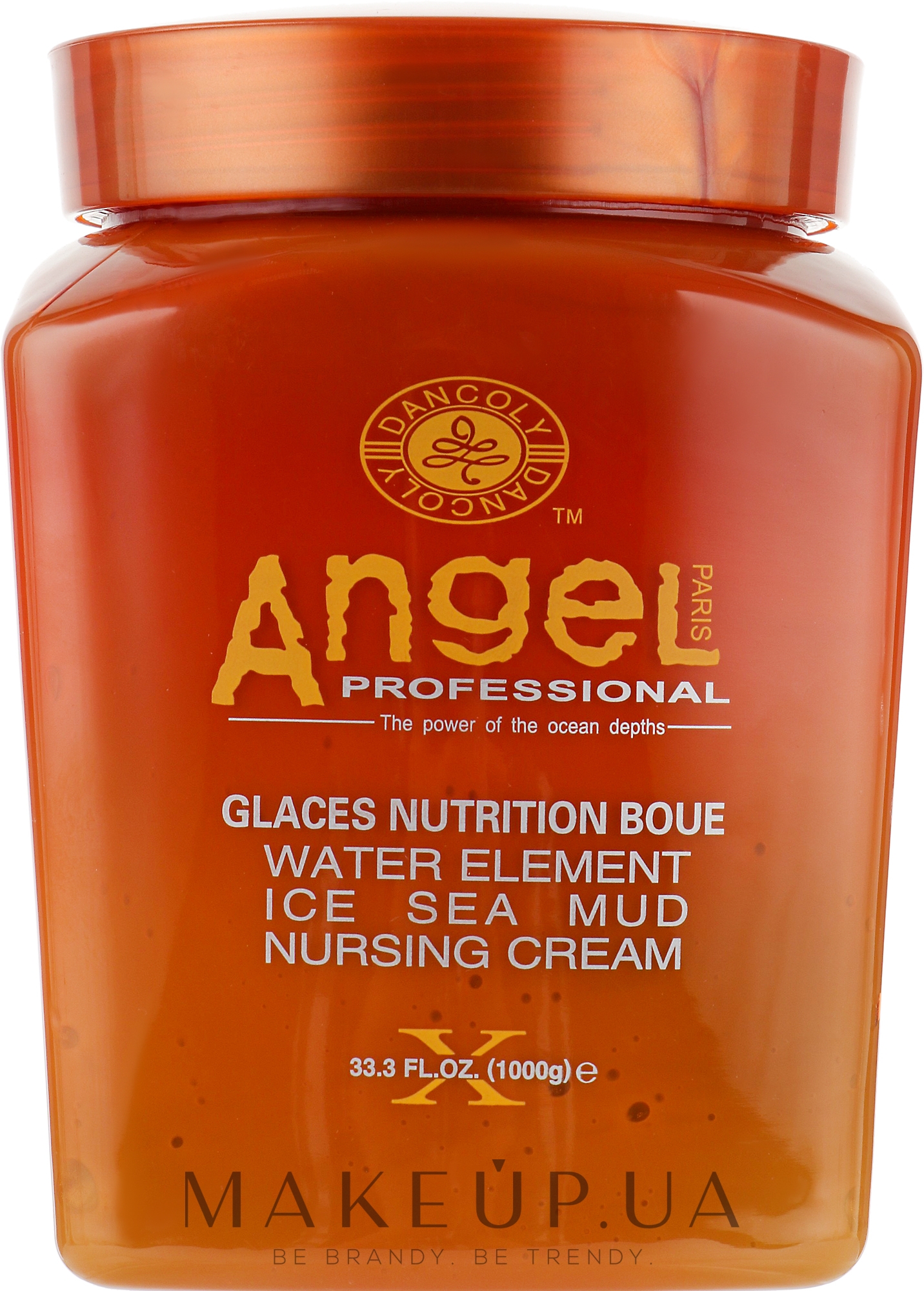 Живильний крем для волосся із замороженою морською гряззю - Angel Professional Paris Water Element Ice Sea Mud Nursing Cream — фото 1000g