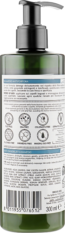 Шампунь від лупи - Bothea Botanic Therapy Delicate Anti Dandruff Shampoo pH 4.5 — фото N2