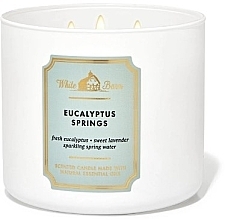 Духи, Парфюмерия, косметика Аромасвеча 3-фитильная - Bath and Body Works White Barn Eucalyptus Springs Scented Candle