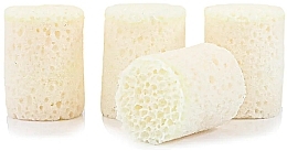 Набір мінігубок, 4 шт. - Spongelle Confection Mini Buffer Bits Cocoa Bon — фото N2