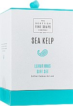 Набор - Scottish Fine Soaps Sea Kelp (sh/gel/75ml + b/but/75ml + h/chr/75ml + soap/40g) — фото N1