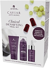 Набір - Alterna Caviar Anti-Aging Clinical Densifying Trial Kit (shm/40ml + cond/42g + treatment/30ml) — фото N1