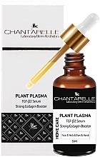 Парфумерія, косметика Сироватка для обличчя - Chantarelle Plant Plazma