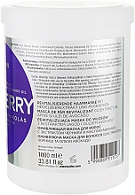 Маска для волосся з екстрактом чорниці - Kallos Cosmetics Blueberry Hair Mask — фото N4