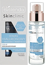 Увлажняющая и успокаивающая сыворотка для лица - Bielenda Skin Clinic Professional Hyaluronic Acid — фото N2