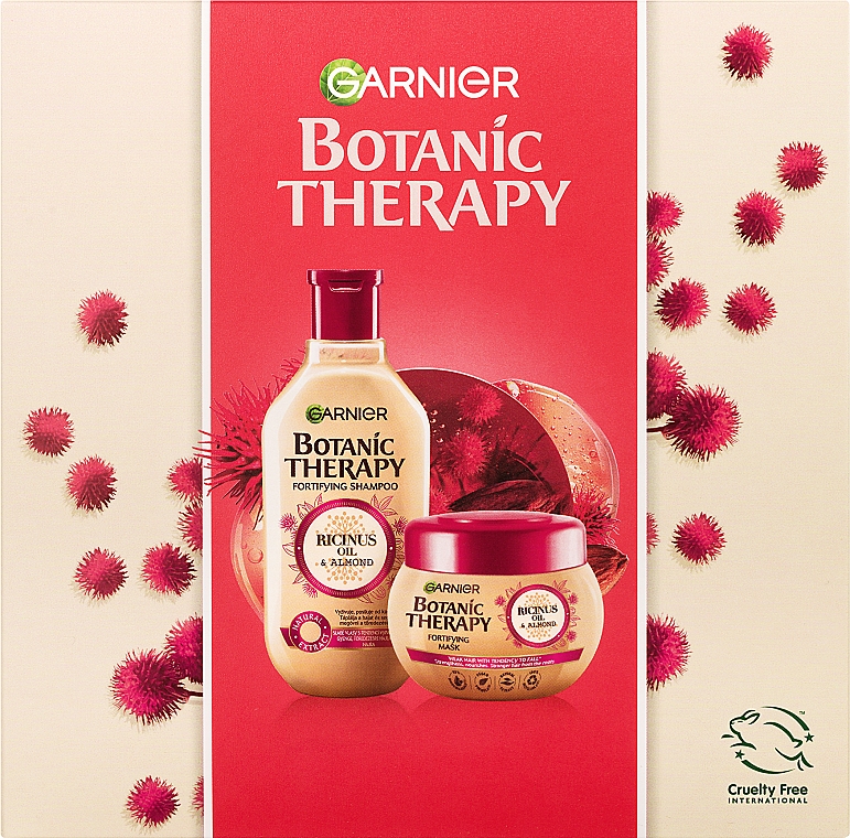 Набор - Garnier Botanic Therapy Ricinus Oil & Almond (shmp/250ml + h/mask/300ml) — фото N2