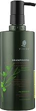 Восстанавливающий шампунь с аргановым маслом - Vieso Argan Oil Extreme Repair Shampoo — фото N1