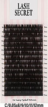 Накладные ресницы, черные, 16 линий (mix, 0.05, C, 8-12) - Lash Secret — фото N1