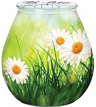 Парфумерія, косметика Декоративна свічка "Літній луг" - Bispol Candle B-Lite Summer Meadow