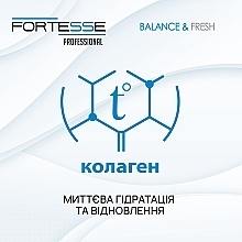 Балансирующая спрей-термозащита с антистатическим эффектом - Fortesse Professional Balance & Fresh Antistatic Spray — фото N3