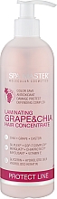 Ламинирующий концентрат для защиты волос с виноградом и чиа - Spa Master Laminating Grape & Chia Hair Concentrate — фото N1