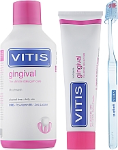 Парфумерія, косметика Набір - Dentaid Vitis Gingival (Toothpaste/100ml + Toothbrush + Mouthwash/500ml)
