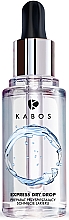 Духи, Парфюмерия, косметика Сушка для лака - Kabos Express Dry Drop