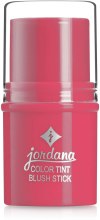 Духи, Парфюмерия, косметика УЦЕНКА Кремовые румяна в стике - Jordana Color Tint Blush Stick*