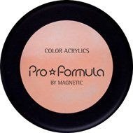 Духи, Парфюмерия, косметика Акриловая пудра - Magnetic Pro Formula Powder