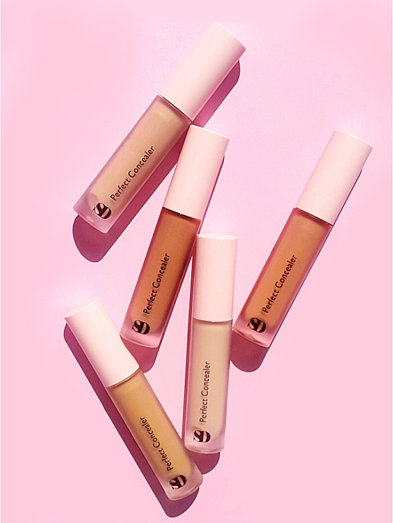 Консилер - SkinDivision Perfect Concealer — фото N2