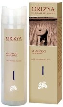 Духи, Парфюмерия, косметика Шампунь против перхоти - Orizya Antidandruff Shampoo