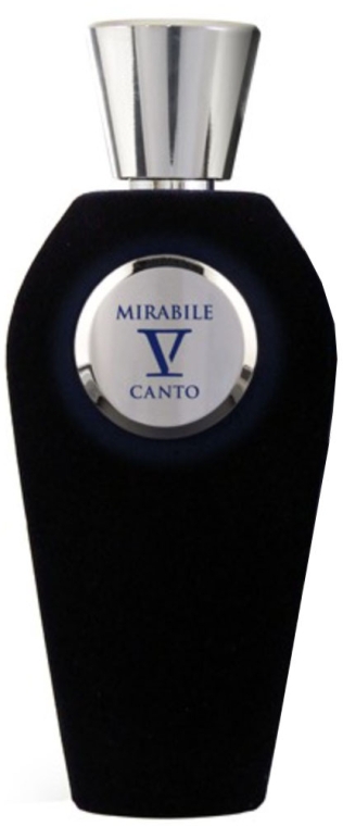 V Canto Mirabile - Парфюмированная вода (тестер без крышечки) — фото N2