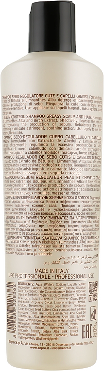 Шампунь для жирных волос - KayPro Scalp Care Sebo Shampoo — фото N2
