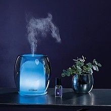 Ультразвуковий дифузор - Esteban Perfume Mist Diffuser Silver Color Edition — фото N3