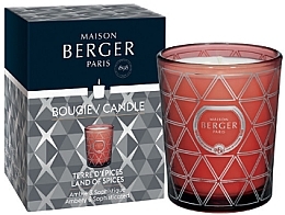 Ароматическая свеча - Maison Berger Land of Spices Candle — фото N1