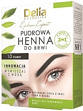 Парфумерія, косметика Фарба для брів у порошку, чорна - Delia Eyebrow Expert 1.0 Black