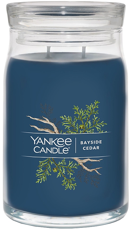 Ароматическая свеча в банке "Кедр", 2 фителя - Yankee Candle Bayside Cedar — фото N2