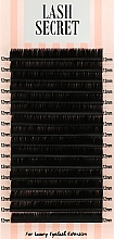 Парфумерія, косметика Накладні вії, чорні, 16 ліній (один розмір, 0,07, L, 12) - Lash Secret