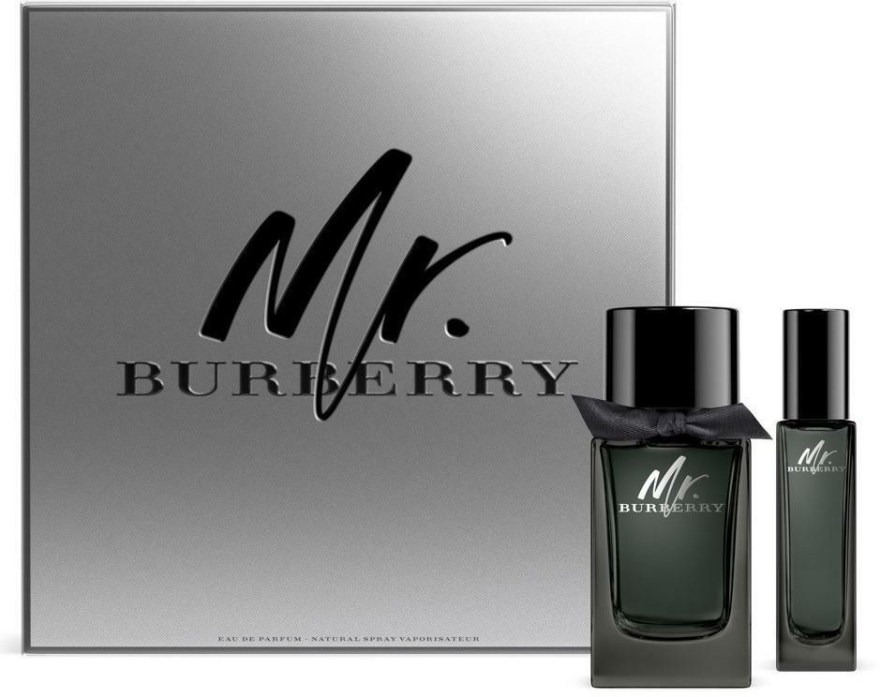 mr burberry edp 100ml