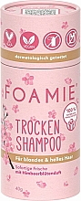 Сухий шампунь для блондинок - Foamie Dry Shampoo Berry Blossom — фото N1