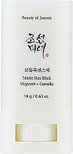 Матовый солнцезащитный стик - Beauty Of Joseon Matte Sun Stick Mugwort+Camelia SPF 50+ PA++++ — фото N1