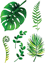 Флеш-тату переводные "Зеленые листья" - Arley Sign — фото N4