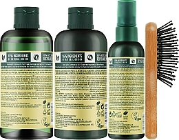 Набір - The Body Shop Sparkle & Shine Moringa Haircare Gift Christmas Gift Set (shm/250ml + cond/250ml + spray/100ml + h/brush/1pc) — фото N3