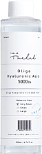 Зволожувальний, відновлювальний тонер для обличчя - The Lab Oligo Hyaluronic Acid 5000 Toner — фото N2