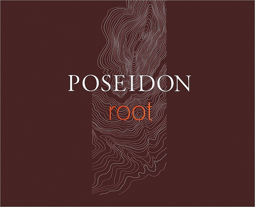 Instituto Espanol Poseidon Root - Набор (edt/100ml + sh/gel/100ml + ash/lot/100ml) — фото N1