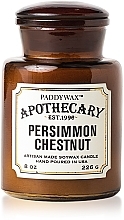 Ароматическая свеча в банке - Paddywax Apothecary Artisan Made Soywax Candle Persimmon & Chestnut — фото N1