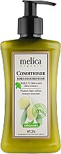 Бальзам-кондиціонер для фарбованого волосся - Melica Organic for Coloured Hair Conditioner — фото N1