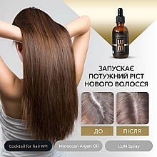 Набір "Повноцінний курс відновлення до 3 місяців" - LUM (oil/50ml + hair/coc/2x50ml + spray/120ml) — фото N5