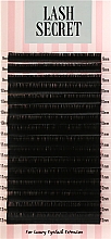 Накладные ресницы, черные, 16 линий (mix, 0,15, D, 9-12) - Lash Secret — фото N1